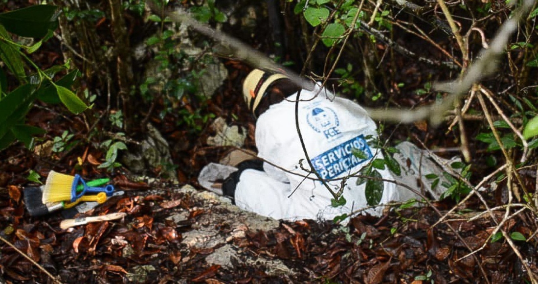 Las osamentas fueron localizadas durante un operativo de búsqueda de personas desaparecidas, realizado en una zona selvática de José María Morelos, municipio de Quintana Roo. A principios de junio, se localizaron otros restos humanos a través estas labores coordinadas por las autoridades del estado. Foto: Elizabeth Ruiz, Cuartoscuro