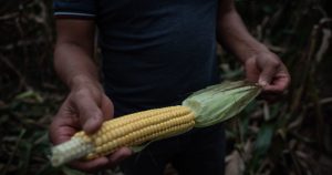 Foto: Isabel Mateos, Cuartoscuro