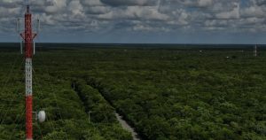 Las presiones para hacerse de terrenos de selva virgen se ha intensificado en los últimos meses en el municipio de Puerto Morelos. Foto: Ayuntamiento de Puerto Morelos