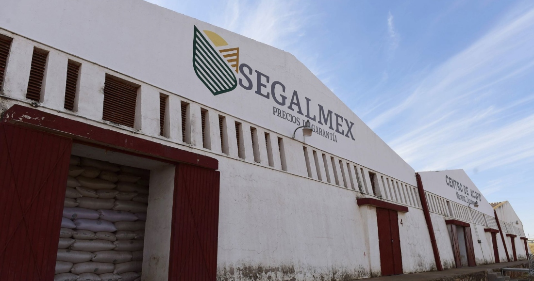 Centro de Acopio de Segalmex, en Morelos, Zacatecas.