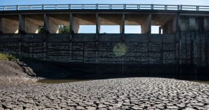 El grupo de más de 40 científicos publicó los resultados del estudio en la revista Nature. Foto: Santiago Mazzarovich, AP