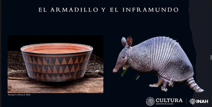 La predominancia de huesos de armadillo en el contexto subacuático asociaría al animal con el inframundo.
