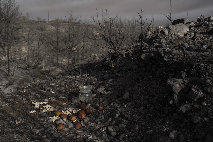 Manzanas y agua, dejadas por los vecinos para los animales, en medio de un bosque arrasado por las llamas cerca de Gennadi, en la isla de Rodas, en el sureste de Grecia, el 26 de julio de 2023.