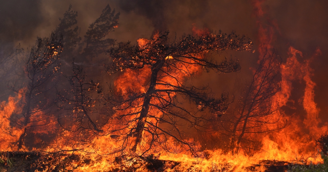 Las llamas arrasan un bosque en la localidad de Vati, en la isla de Rodas, en el sureste de Grecia, el 25 de julio de 2023.