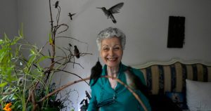 Catia Lattouf posa para una foto con colibríes a su cuidado, en su apartamento que ha convertido en una clínica improvisada para los pequeños pájaros, en la Ciudad de México, el lunes 7 de agosto de 2023. Foto: Fernando Llano, AP