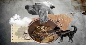 Foto: Cortesía de Periódico Central