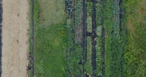 Una sección del predio iba a ser usada para construir un cuartel de la GN. Foto: Captura de pantalla