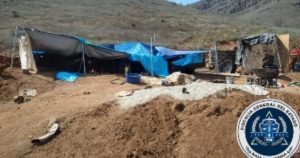 La Fiscalía de BC investiga daños, maltrato animal y robo en un albergue de Ensenada
