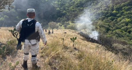 Al menos cuatro muertos dejó el miércoles el desplome de una aeronave en la localidad de Tetlama del municipio de Temixco, en el estado central de Morelos, México, informaron fuentes oficiales.