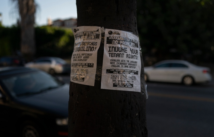 Volantes en los que se defienden los derechos de los arrendatarios están pegados a un árbol, el miércoles 28 de junio de 2023, en Los Ángeles. La pérdida de empleos durante la pandemia de COVID-19, aunada al alza en las rentas, ha obligado a muchos residentes de California a aceptar condiciones de vivienda desesperadas. 
