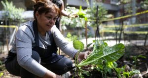 Foto: Francisco Cañedo, Xinhua