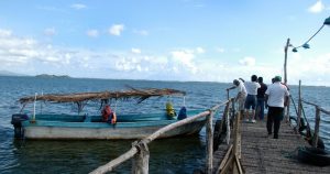 El turista que falleció ayer en playa Quieta, en Ixtapa, fue atacado por un cocodrilo y no por un tiburón como se había dicho anteriormente. En el incidente también resultó lesionada una visitante de Estados Unidos. Imagen ilustrativa. Foto: Bernandino Hernández, Cuartoscuro