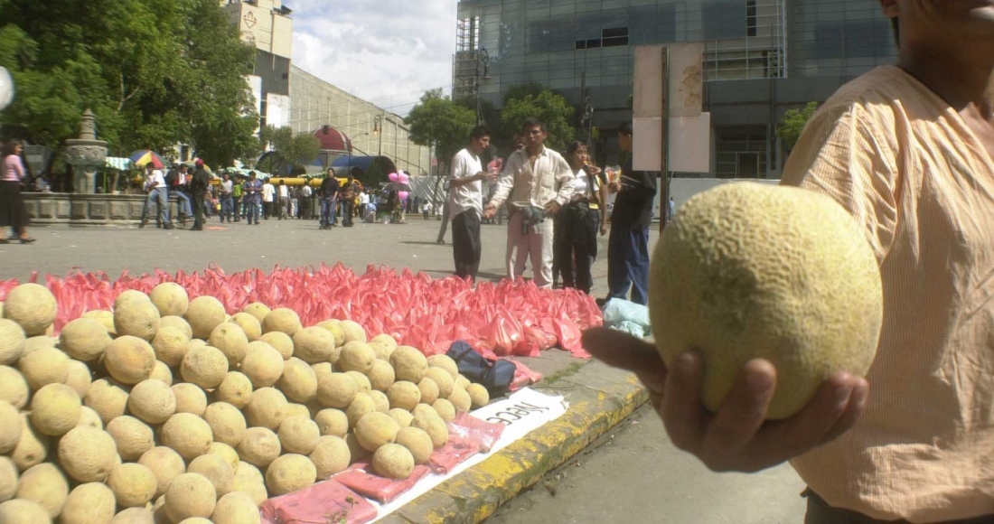 La Comisión Federal para la Protección contra Riesgos Sanitarios (Cofepris) informó que realiza vigilancia sanitaria puntual en melones posiblemente contaminados con Salmonella, pues Canadá y Estados Unidos reportaron la detección de esta bateria en melón cantaloupe (Cucumis melo) procesado en el estado de Sonora.