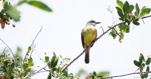 Foto: Elizabeth Ruiz, Cuartoscuro