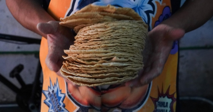 México busca prohibir el maíz transgénico a nivel constitucional