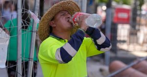 Foto: Paul White, Archivo, AP