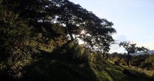 Foto: Margarito Pérez Retana, Cuartoscuro.