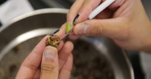 Foto: Francisco Cañedo, Xinhua.