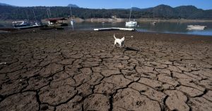 Foto: Marco Ugarte, AP