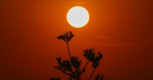 Foto: Marco Ugarte, AP.