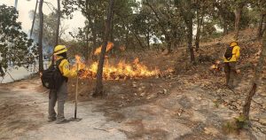 Foto: Cuenta X de Andrés Andrade Téllez, @AAndradeTellez
