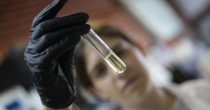 Foto: Francisco Cañedo, Xinhua.