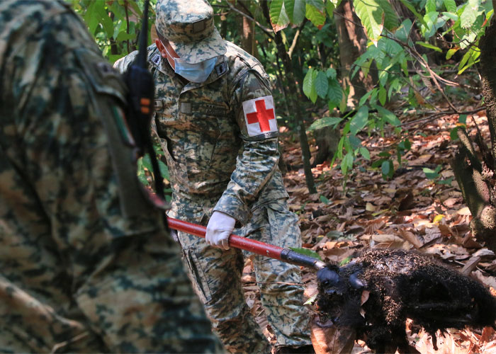 calor-125-muertes-mexico-6