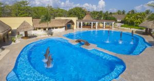 De acuerdo con Animal Heroes, cuatro delfines viven bajo explotación y maltrato en uno de los delfinarios más pequeños de México, operado por Dolphinaris, una empresa dedicada a operar al menos cinco recintos en hoteles del sureste mexicano. Foto: dolphinaris.com