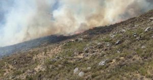 Foto: X @zona3noticias