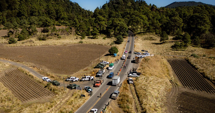 Autoridades buscan inhibir el transporte ilegal de madera