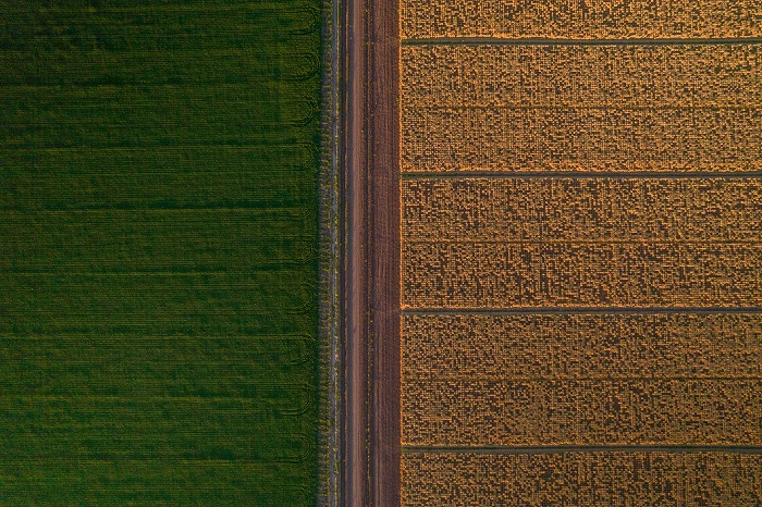 Agricultura regenerativa Grupo Bimbo