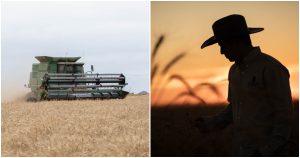 Agricultura regenerativa de Grupo Bimbo.