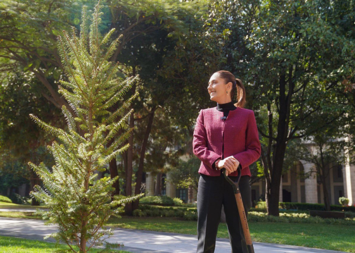 La Presidenta de México deseo un muy feliz 2025 a todas y todos.