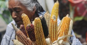 Una marcha en defensa del maíz en la Ciudad de México.