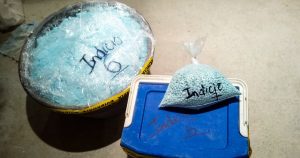 Nuevos informes de las agencias de inteligencia financiera y criminal indican que los grupos del crimen organizado canadienses están produciendo una cantidad cada vez mayor de fentanilo en su país, y una proporción cada vez mayor de esas drogas se exportan al extranjero y, en particular, a Estados Unidos.