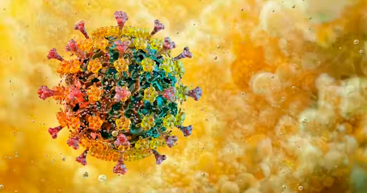 Expertos opinan sobre una posible pandemia de virus H5N1