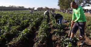 Decrecimiento y comunitarismo social III.