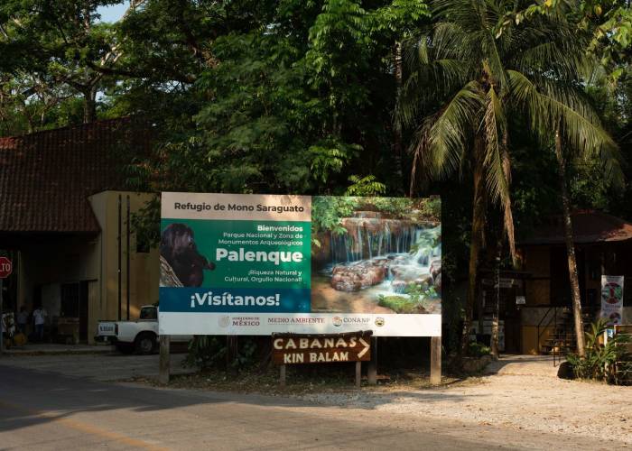 A unos meses de las vacaciones de Semana Santa, el Gobierno de México anunció la estrategia de hospedaje en el Tren Maya.