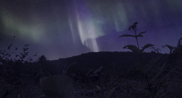 Banquete boreal película 