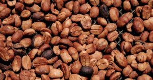 Detrás de la taza de Nestlé y Starbucks.