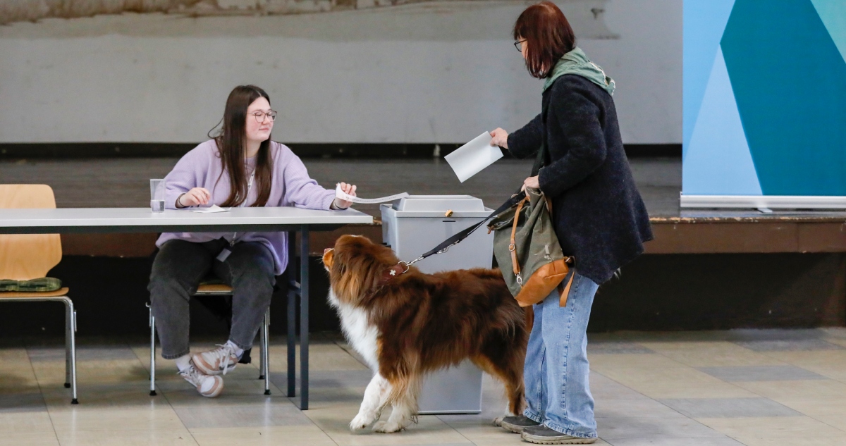 La Izquierda ha logrado el 8.8 por ciento en Alemania, creciendo casi cuatro puntos porcentuales respecto a la cita electoral de hace cuatro años.