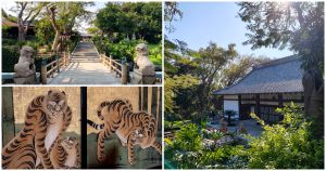 Hotel Gran Fiesta Americana Sumiya