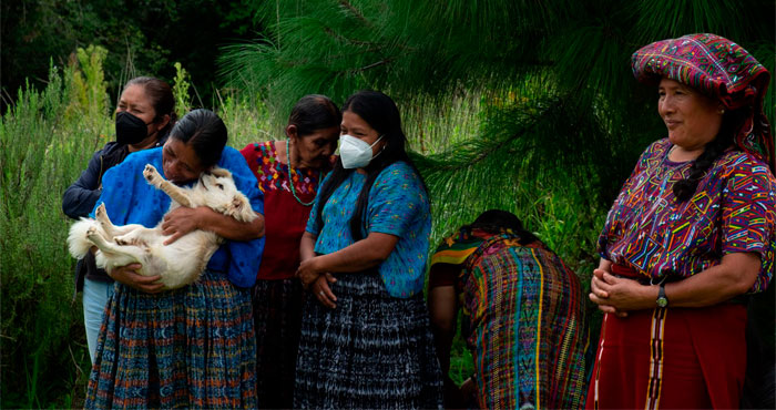 Plan México debe contemplar a pueblos y comunidades indígenas