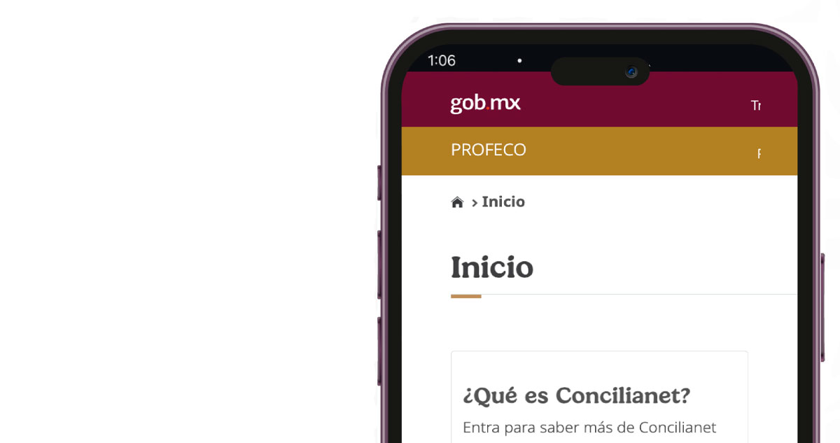 ¿Qué es y cómo funciona Concilianet?