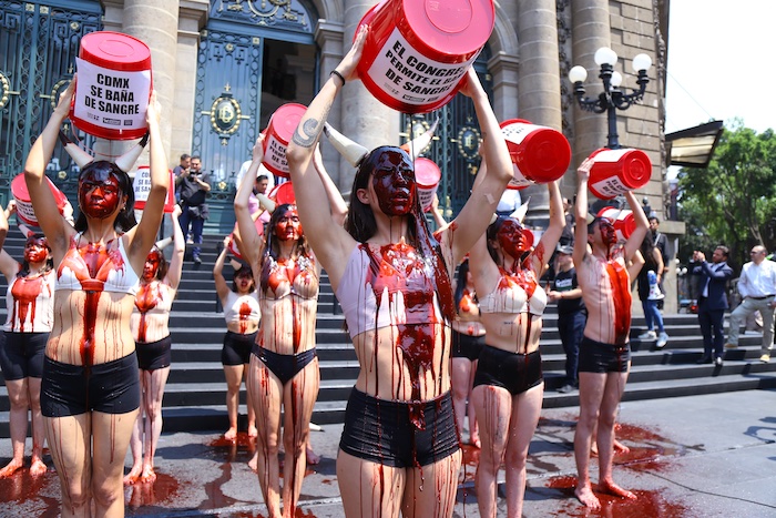 Protesta contra corridas de toros en Congreso CDMX