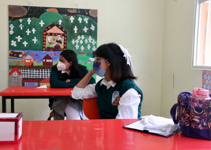 desarrollo de habilitades truncadas por covid