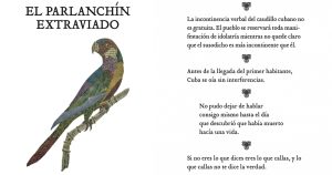 El parlanchín extraviado