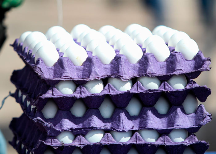 EU registra más decomisos de huevo que de fentanilo en el año fiscal 2025