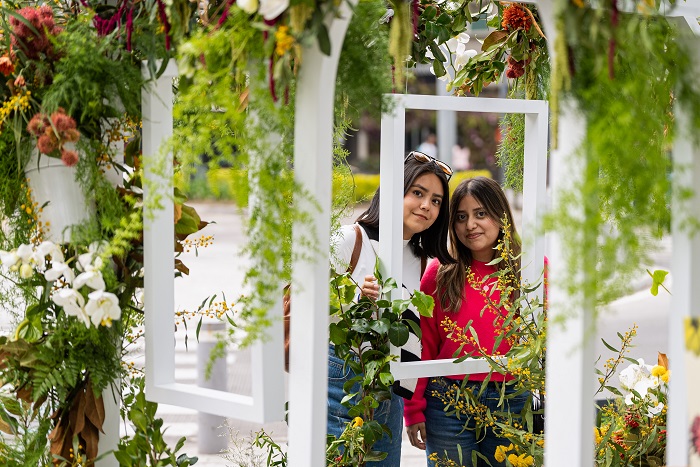 Festival de flores Polanco 