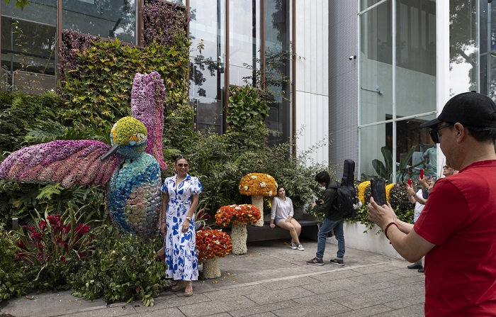 Festival flores polanco